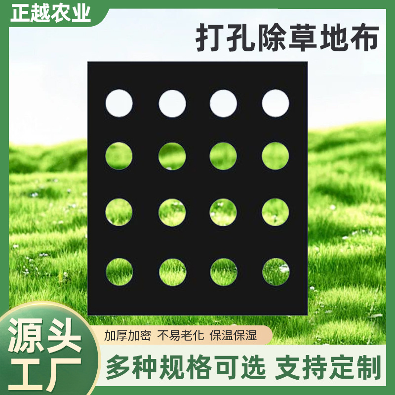 Pe Perforated Weed Control Fabric, Perforated Weed Control Cloth for Vegetables and Medicinal Plants, Agricultural Weed Control Mat, Breathable and Water-Permeable New Type of Ground Film