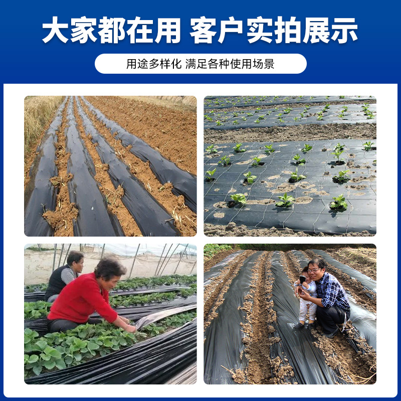 Película agrícola negra, película resistente al envejecimiento para cultivo de vegetales, película reflectante negra plateada de PE al por mayor, fabricante de película de acolchado.