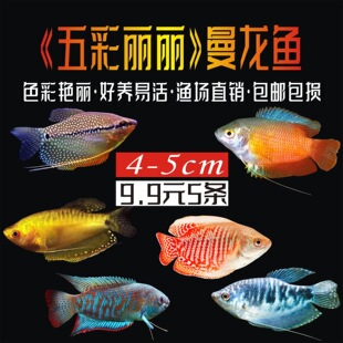 �����~��ˮ�~���^�p�~���B�ͻ�С�~������С����������~���ֻ��~