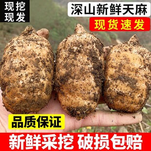 �������L����Ͼ���С�݉����r������3��Ұ���ؼ�ș��Ƭ�Y�ЬF��