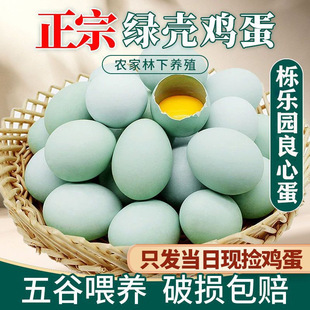 ɢ�B���u���G�����u�������b��ʡ��������ͨ�b�Y���b֧�ֶ��ư��b