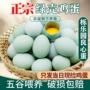 定制绿壳礼盒装本省蛋托