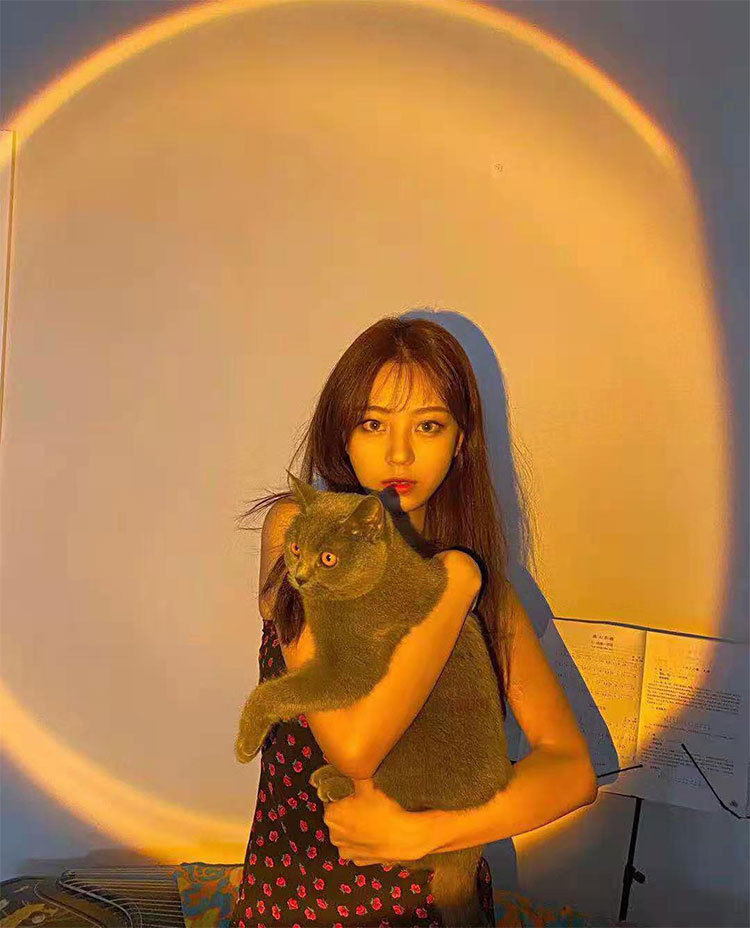 夕阳灯中文详情 (10).jpg