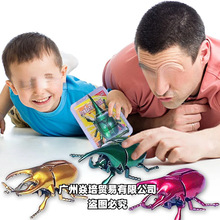 ��Ʒ�������M���� ���ӵ����xģ�� ��ͯ��朸񶷼��x�l�l�������