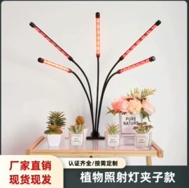 落地灯;植物生长灯;普通照明台灯