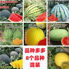 ϷNӻbMbNӟoش߮aϷļ߲ˮNݻ