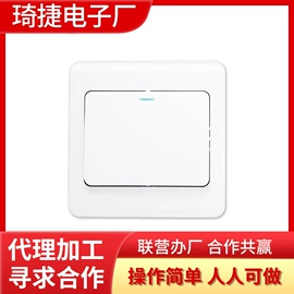电子组装加工;饰品加工
