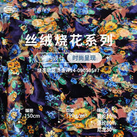 新宏鑫 190g丝绒烧花 高弹印花烫金布料 连衣裙时装旗袍礼服面料