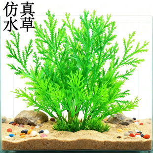 ~֥~׷ˮˮ쾰ˮˮֲbSֱN