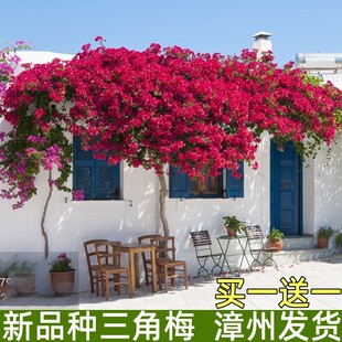 ����÷��������ֲ����ܰ�������˹�����S�ذ��Ϙ�ͥԺ�ļ��_��