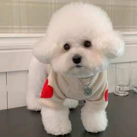 春秋季狗狗爱心保暖卫衣宠物衣服泰迪比熊博美小型犬猫猫咪打底衫