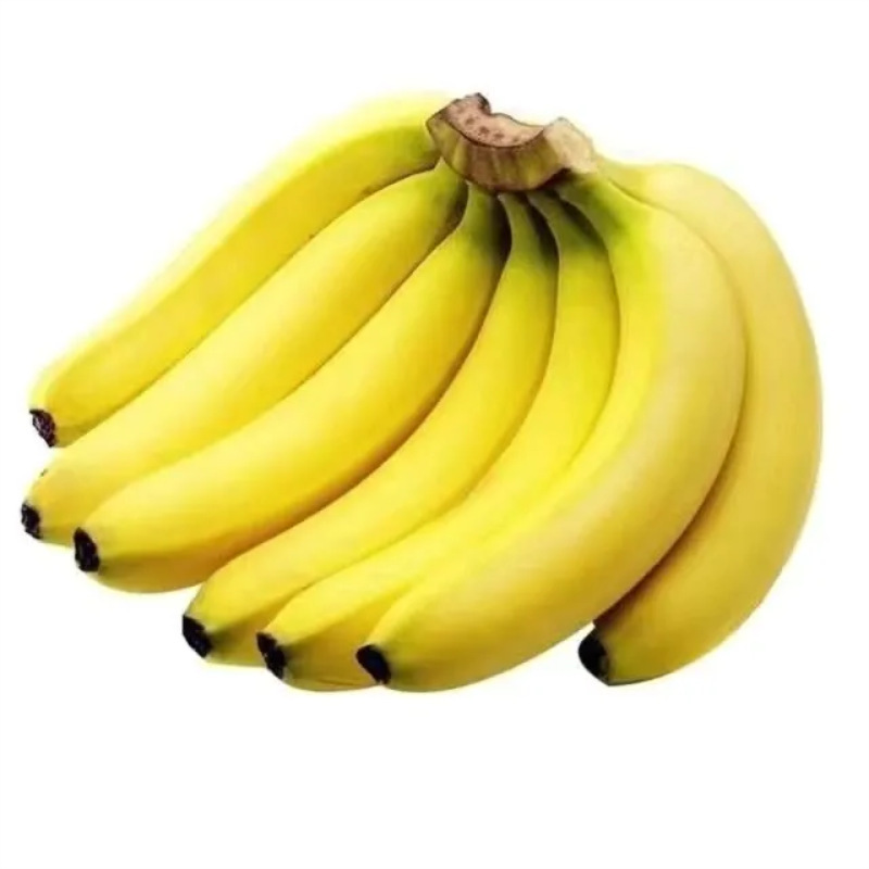 Guangxi Yunnan Williams Bananas Require Ripening, Green Bananas with Free Shipping, Fresh Williams Sesame Bananas, One-Piece Drop Shipping Guangxi Yunnan Williams Bananas Require Ripening, Green Bananas with Free Shipping, Fresh Williams Sesame Bananas, One-Piece Drop Shipping