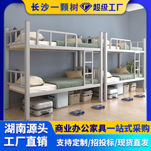 �Lɳ�F���F�ܴ����S���l�W���������´������p��������Fˇ�����