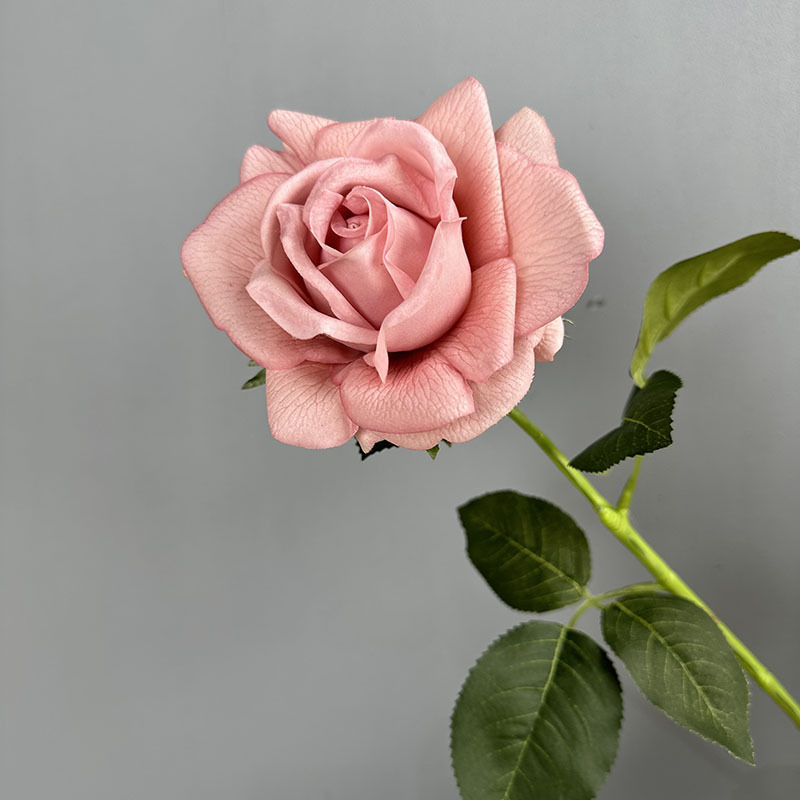 단일 터치 보습 장미 복숭아 보라색
