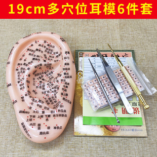 19cm��Ѩλ��Ѩģ�Ͷ������jѨλģ�߶��N��Ѩ�N��Ѩ̽�P���䰴Ħ