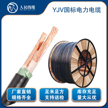 �r���� �����|YJV3*50+1*25���˼��~�����|���z�y