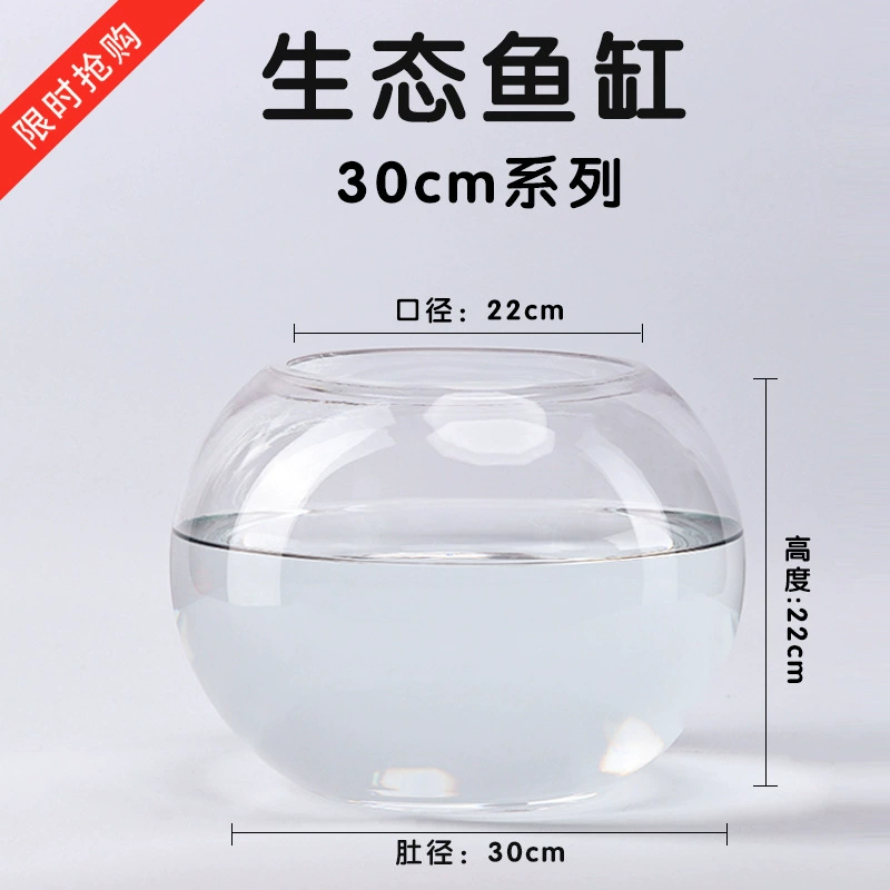 Transparent glass small aquarium for office