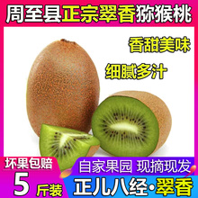 陕西周至县翠香猕猴桃 正宗天然绿心当季新鲜水果大果精品5斤包邮