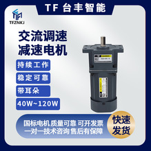 TF台丰电动机220V交流电机调速电机跑步机电机减速电机40W-120W