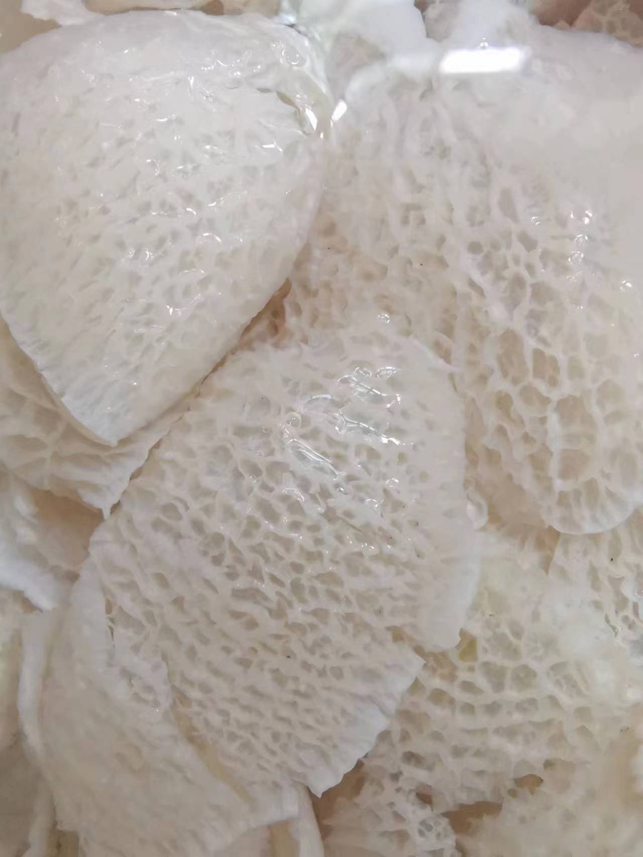 微信图片_20231114103252