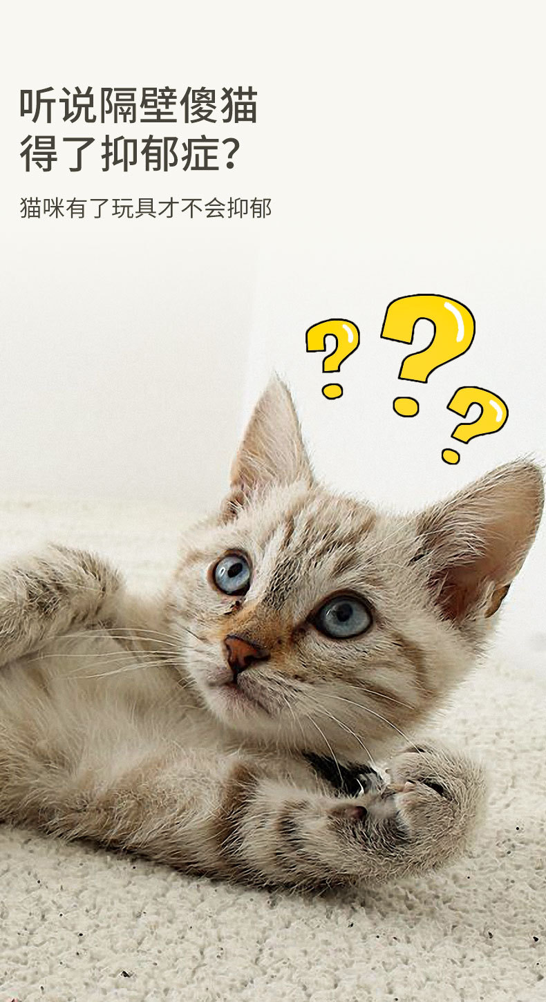 三合一逗猫玩具