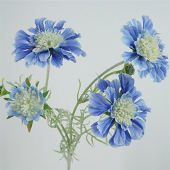 Simulated flower chrysanthemum home decoration flower arrangement ornaments travel photo props wall hanging flower art design wedding flower pine cordyceps