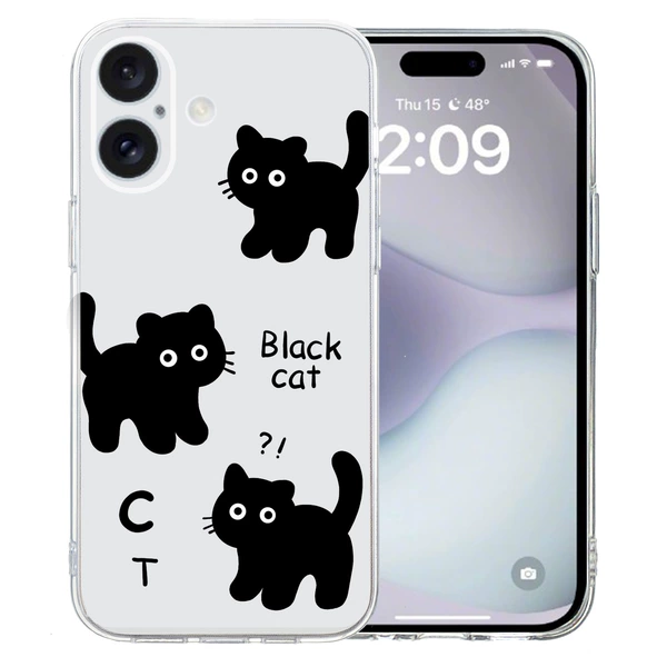 Black cat
