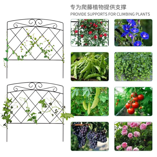 Wrought iron fence climbing rose trellis clematis rose support rod courtyard garden planting outdoor gardening fence