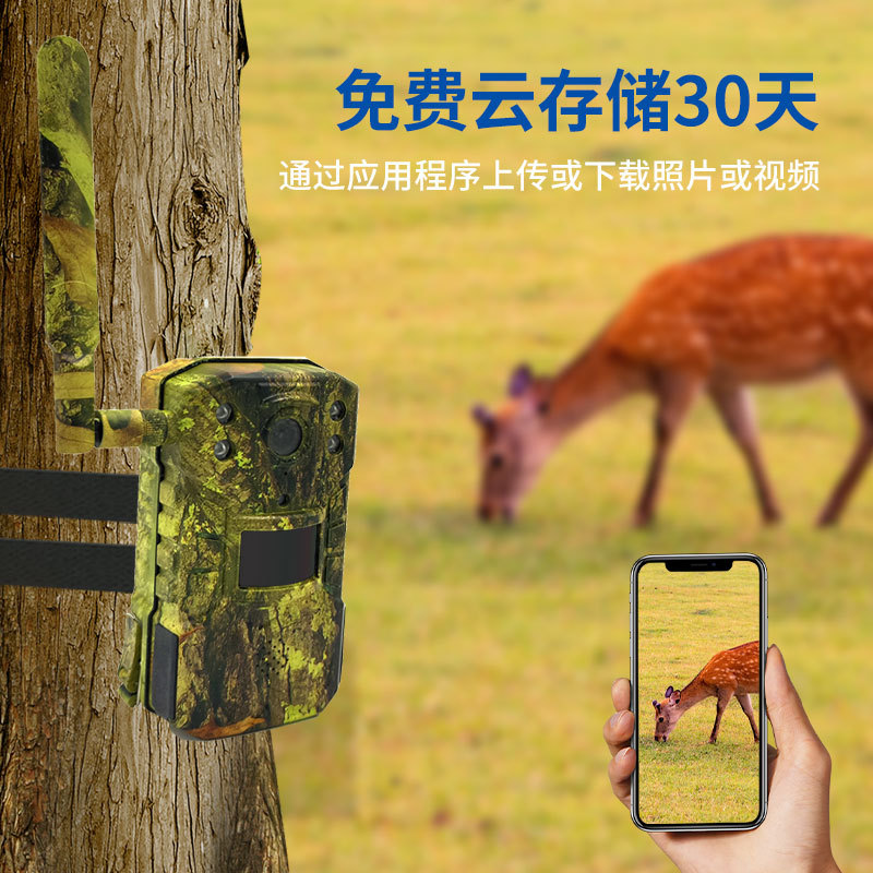 Ruitin fábrica de detección de campo transfronteriza animal Cámara HD al aire libre impermeable solar cámara de vigilancia