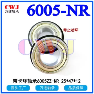 带止动环轴承 6005ZZNR 6005-2RS NR 替代法兰F6005ZZ 6005ZZ NR