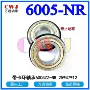 6005-2rs6005zz法兰止动环轴承