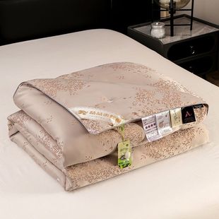 Thickened Silk Quilt for Student Dormitory, High-End Air-Conditioned Quilt, Ins Style, Adult Removable and Washable Korean Style New Double