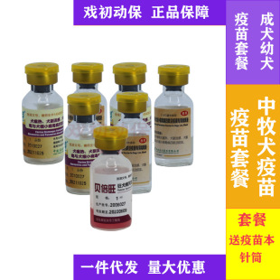 ���������繷�������ײ���Ȯ��Ȯ�����ײ͇��a�������Ȯ����