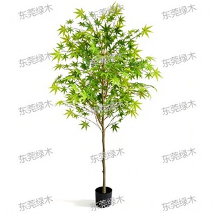 Artificial Green Maple Potted Plant �G���~��������