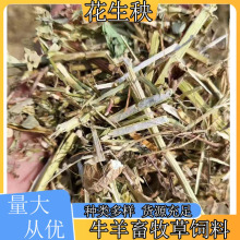 大量批发花生秧干草料畜牧草料花生秸秆花生草粉牛羊粗饲料