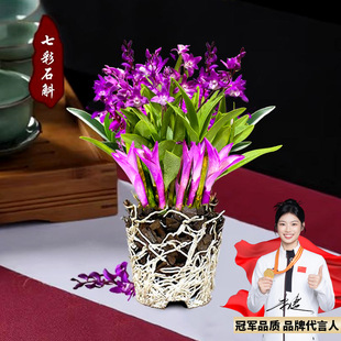 �߲���ˮʯ���m���ļ��_���B�Gֲ������ʯ���Gֲ�����՚�