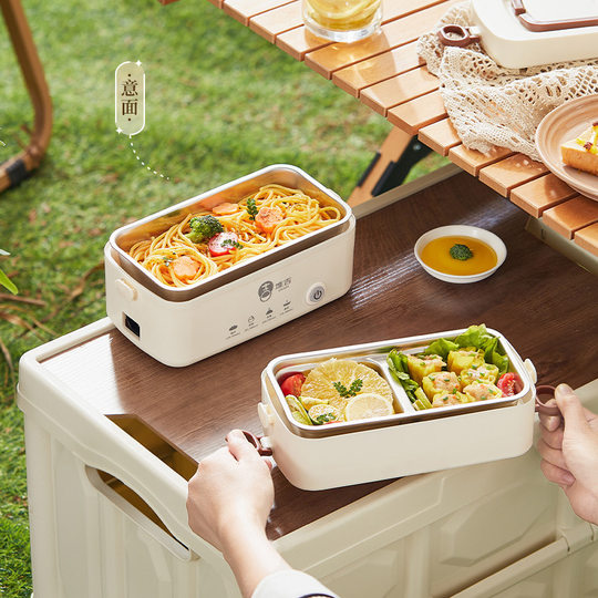 Electric Lunch Box for Heating and Keeping Food Warm, Mini Portable Cooking and Food Container for Office Workers, Can Steam and Boil with Automatic Power-Off