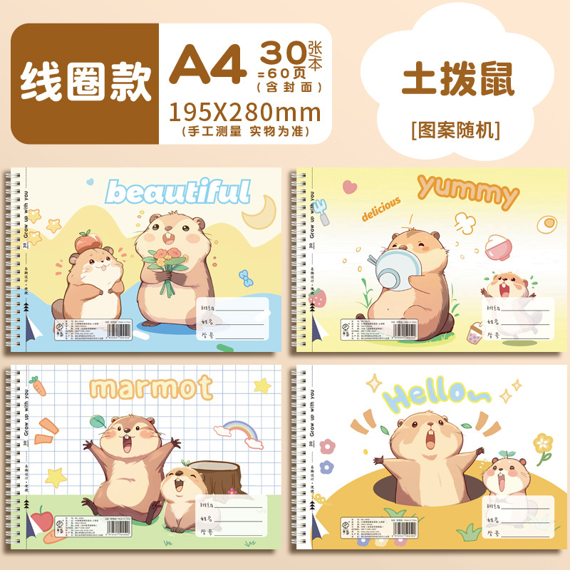 Coil A4 [Marmot] 30 sheets x 1 book