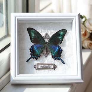 Green-Banded Swallowtail Butterfly Real Butterfly Specimen Creative Decorative Ornaments Picture Frame Birthday Gift for Boyfriend and Girlfriend