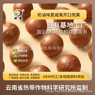 녉������Ĺ��Թ����͚���OEM��������ɢ�bԭ�����l����r����؛