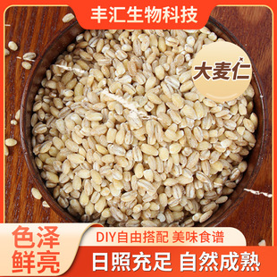 �S�Ҍ��I���a���N������ �����w�w�A��M����決��������