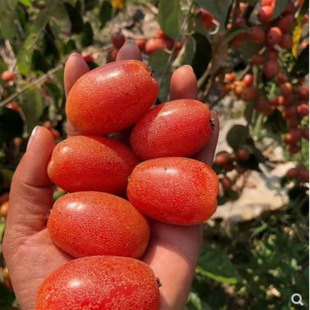 ���̹���޽������ش����r��������̖���̹������ϱ����ļ�ͥԺ