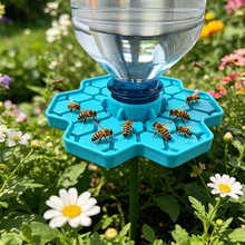 �羳��ƷBee Watering Dish �۷��ˮ�P��ɫ�����۷����x�ˮ