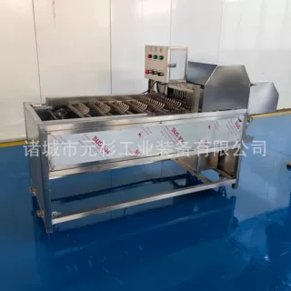 连续式果蔬切根机 菠菜切段机 油麦菜切段机源头厂家