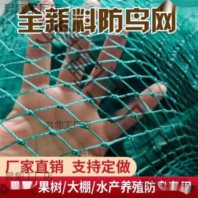 防鸟用网果树樱桃葡萄大棚果园农用防鸟网鱼塘养殖天网尼龙防老化