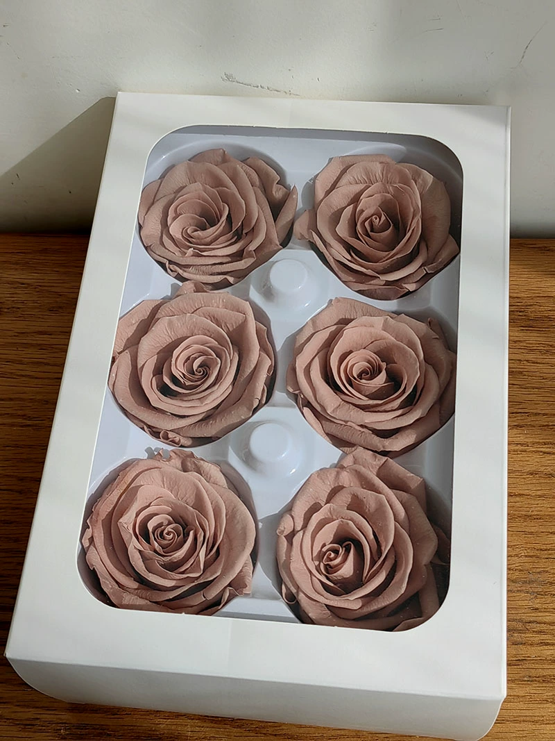 Eternal Rose head A -Class/B -Class Cabca Shengsheng Flower Handmade DIY Teacher's Day Gift Materials