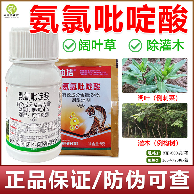 24%氨氯吡啶酸除草剂阔叶灌木加拿大一枝花大小飞蓬克星专用
