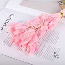 �ɻ����l��ʯ�ݸɻ����˲��L�ɻ��Ҿ��b廨DIY��������β��