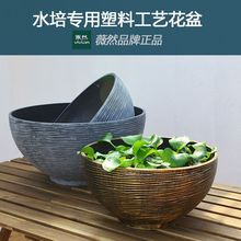 睡莲专用盆塑料树脂北欧简约庭院加厚大号水培铜钱草碗莲荷花盆缸