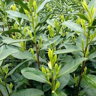 ���ڲ��~�����������G�����F�^������ײ����ë�������